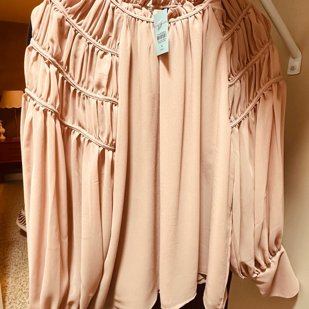 Ann Taylor Blush Ruched Blouse